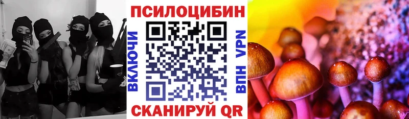 Галлюциногенные грибы MAGIC MUSHROOMS Елец