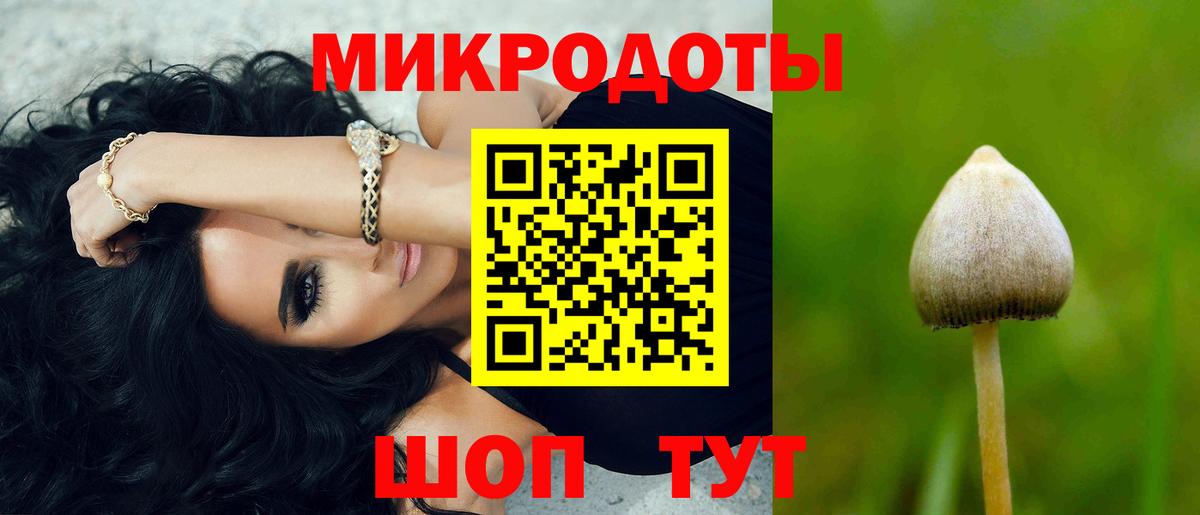 Елец  Галлюциногенные грибы GOLDEN TEACHER  купить закладку  Вход с VPN 