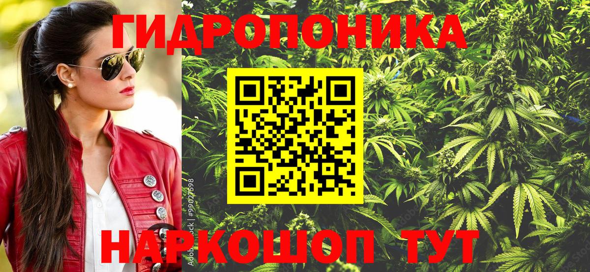 Каннабис планчик Елец